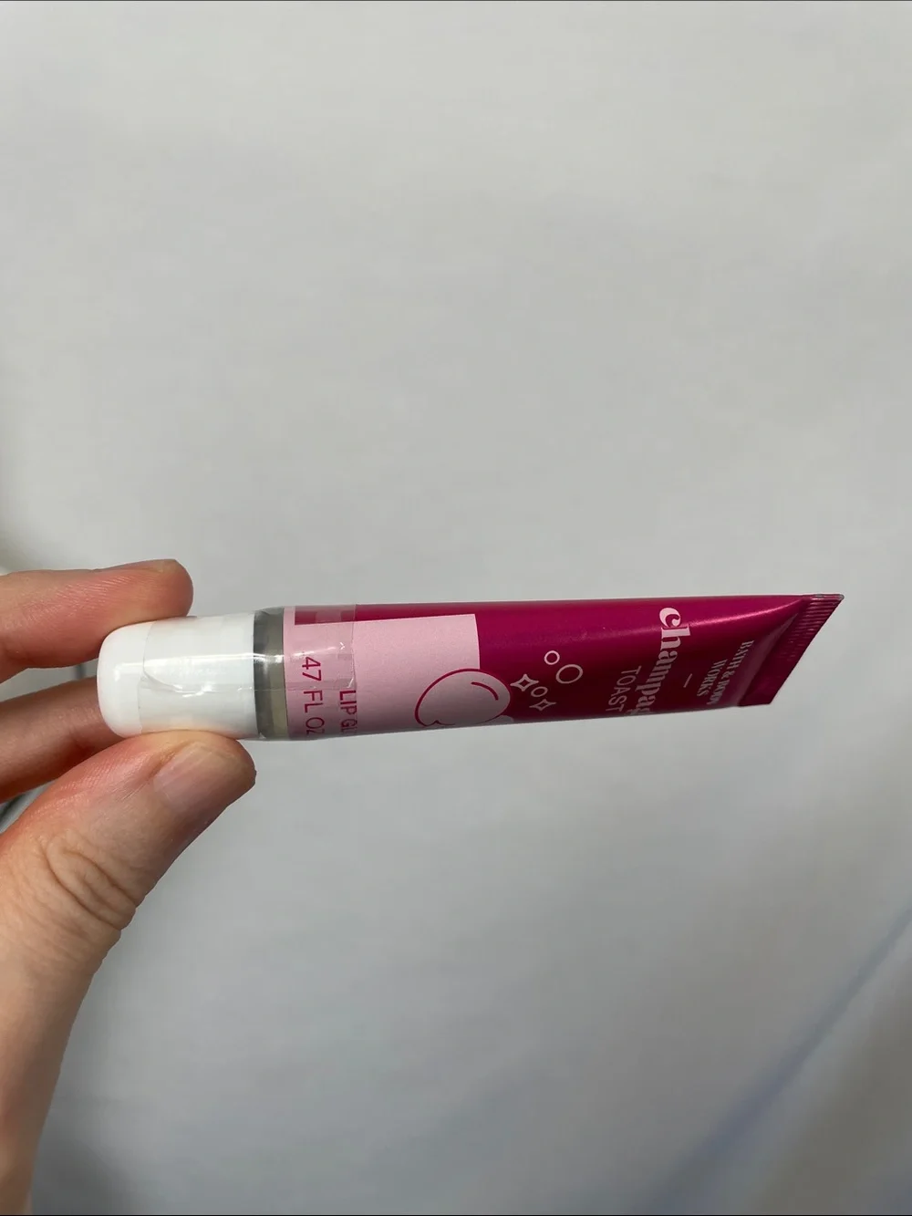 🖤5/$25 Bath & Body Works Champagne Toast Lip Gloss — Fuchsia and Light Pink